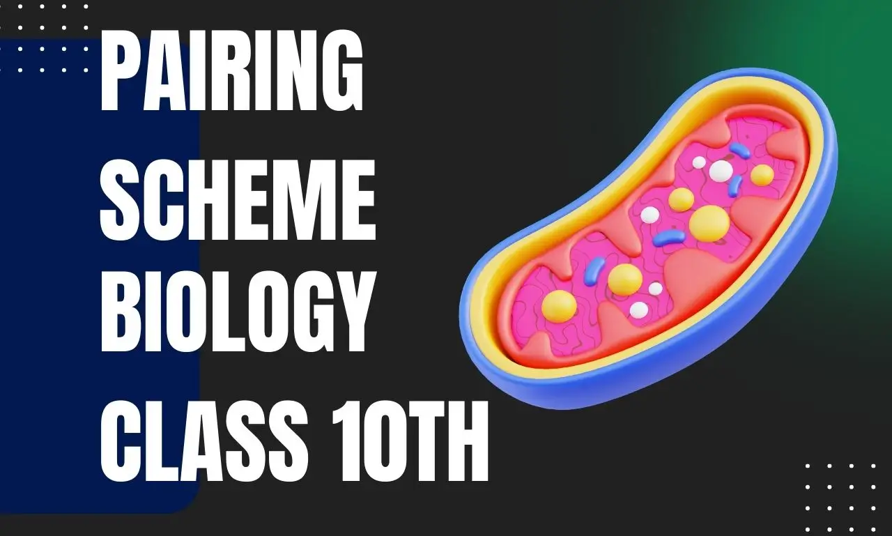 feature image for pairing scheme biology class 10th with structure of cell.